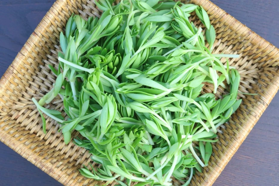 %EB%8F%8C%EB%82%98%EB%AC%BC1.jpg?type=w1