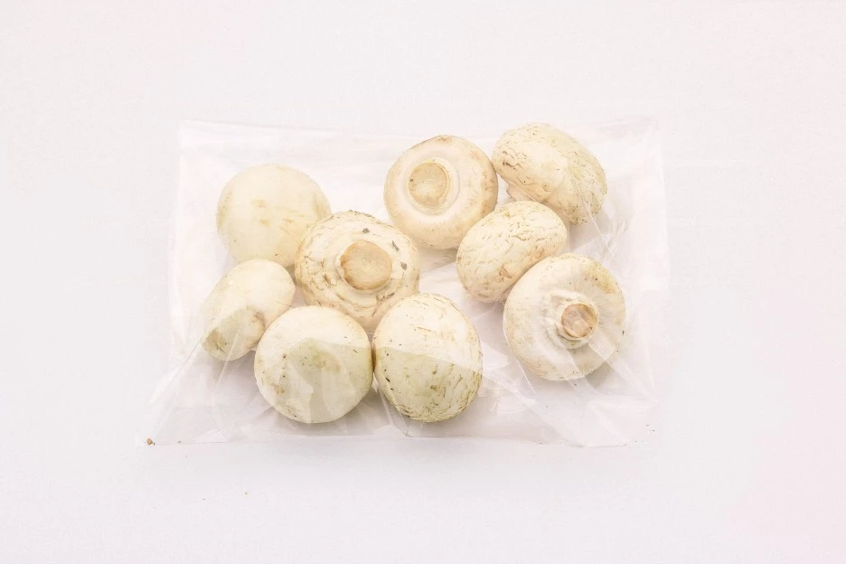 KakaoTalk_20210811_101658603_01.jpg?type=w1