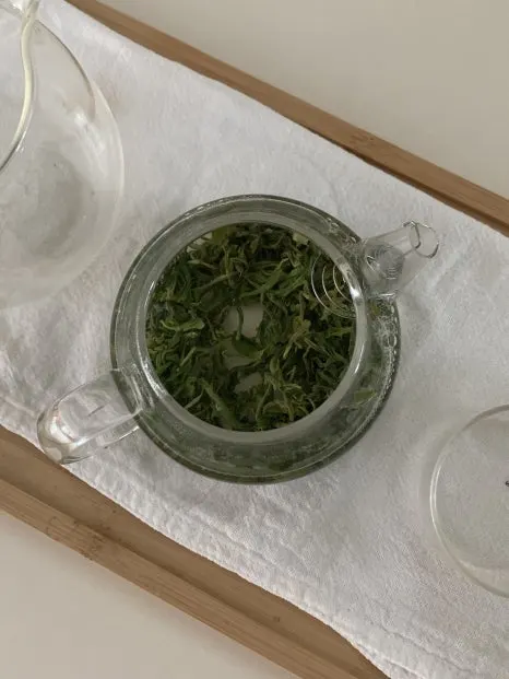 IMG_3378.jpeg?type=w466