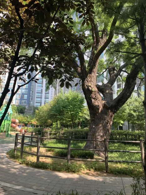 IMG_3382.jpeg?type=w466