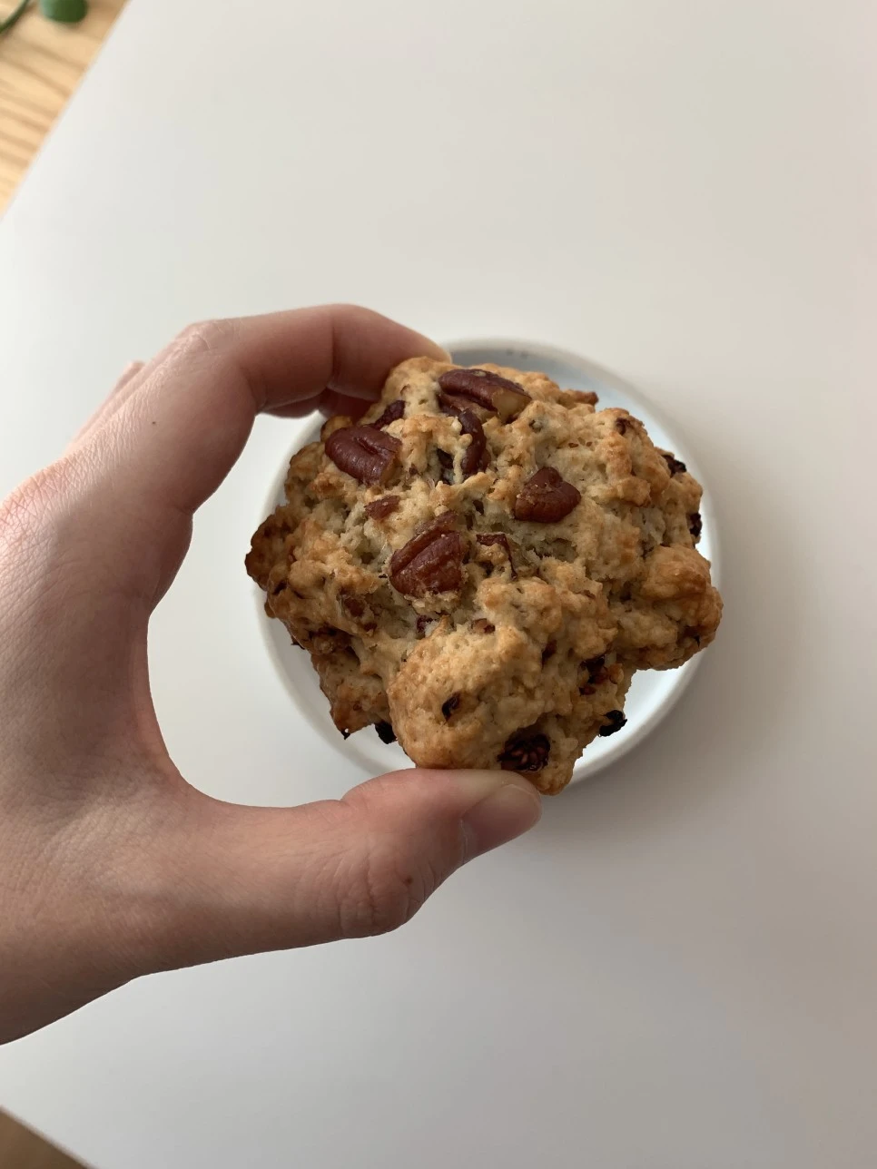 IMG_3814.JPG?type=w966