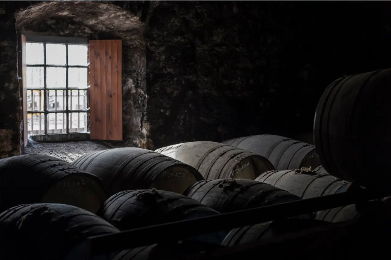 468407225_10161924338049450_7681056446121422990_n.jpg?_nc_cat=103&ccb=1-7&_nc_sid=0b6b33&_nc_ohc=vEexO0ZZORcQ7kNvgEcmMT6&_nc_zt=23&_nc_ht=scontent-gmp1-1.xx&_nc_gid=AUgjccVbg_nw1eG3m7AyA1j&oh=00_AYD8l7jJi0G_Yy9UsWBGUYHPUmiDZFfAvtjdj6DfHLwOtw&oe=677462AE