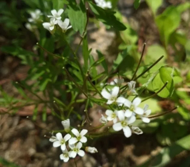 e_7b9Ud018svcfe5bz141c87d_us9xsu.png?type=e1920_std