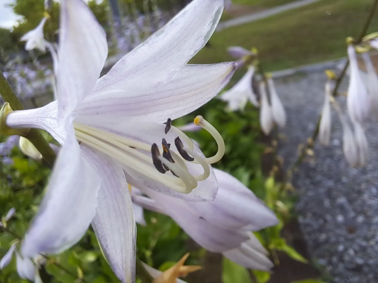 e_j54Ud018svc8o5yc61y0gjf_us9xsu.jpg?type=e1920_std