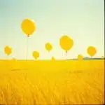 i_h22Ud018svcp44m119wx06_us9xsu.jpg?type=s150