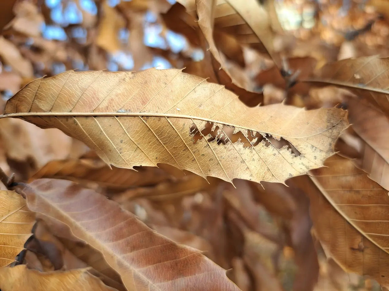 d_686Ud018svc1q8fwor7pr7uo_us9xsu.jpg?type=e1920_std