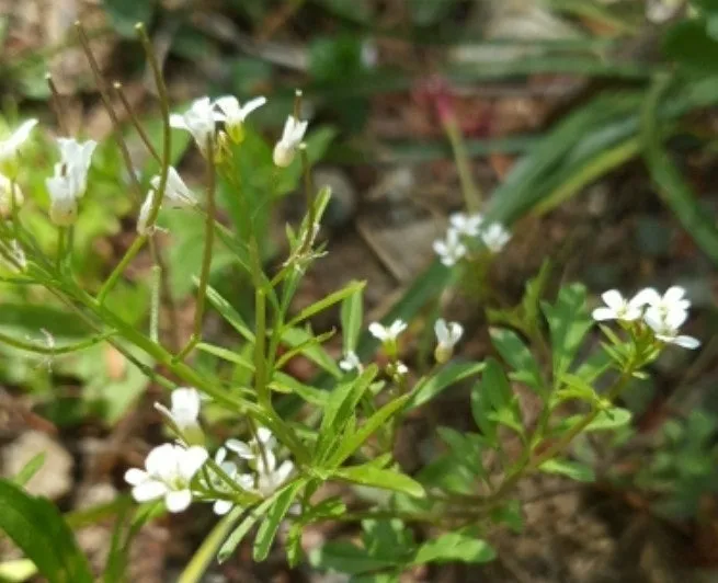 3_cb8Ud018svcn2vlxm2l29ez_us9xsu.png?type=e1920_std