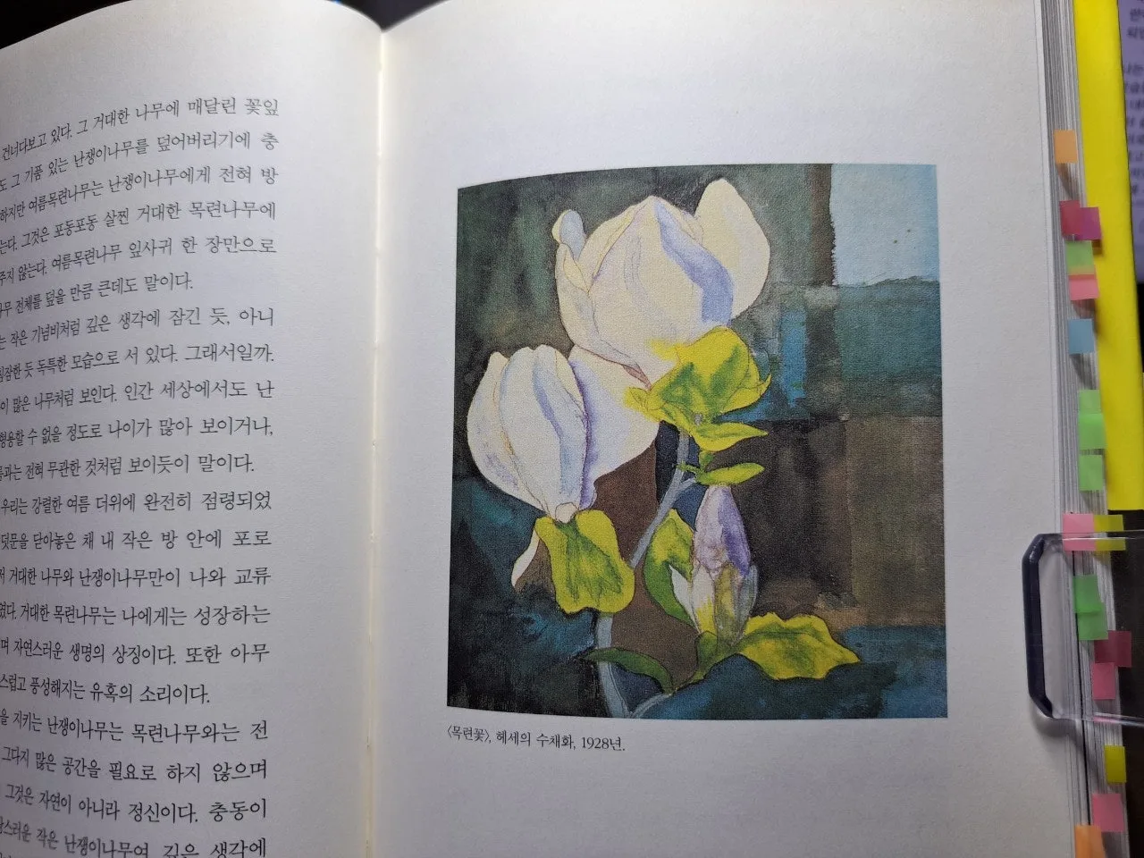 7_j5dUd018svceaxg8osmzrlx_us9xsu.jpg?type=e1920_std