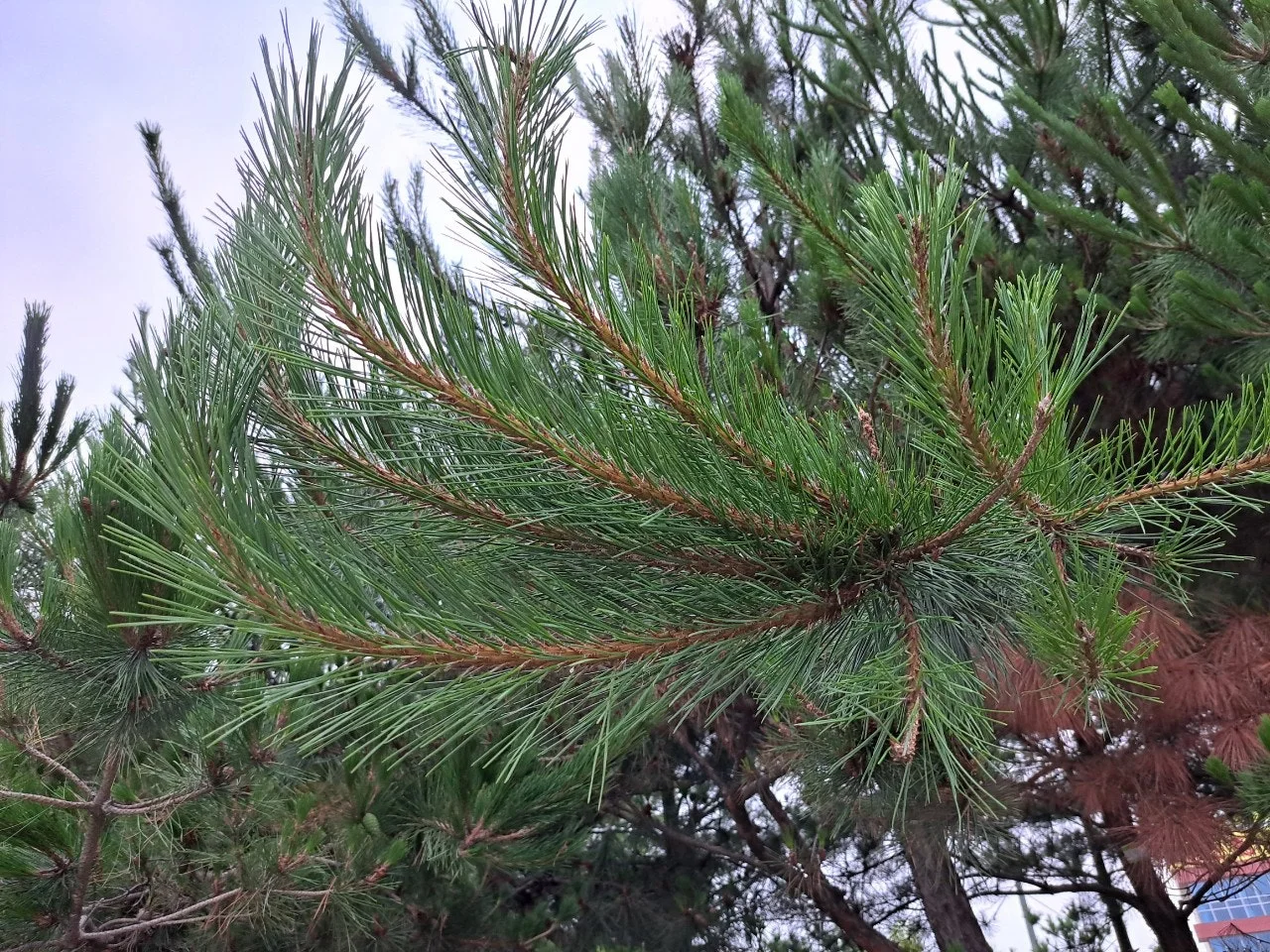 f_154Ud018svc15k1rw2np8lv6_us9xsu.jpg?type=e1920_std