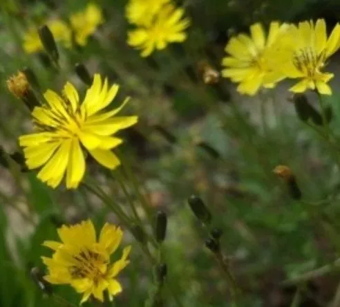 0_402Ud018svclzyli3gkulmv_us9xsu.png?type=e1920_std