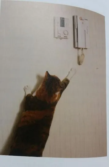 (책꼬리단상 46)170304-너라서 좋다2.JPG