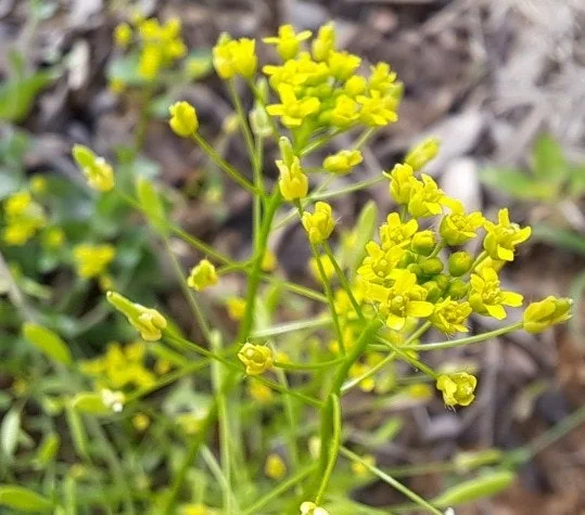 i_e24Ud018svcheh0rpsdkuhi_us9xsu.png?type=e1920_std