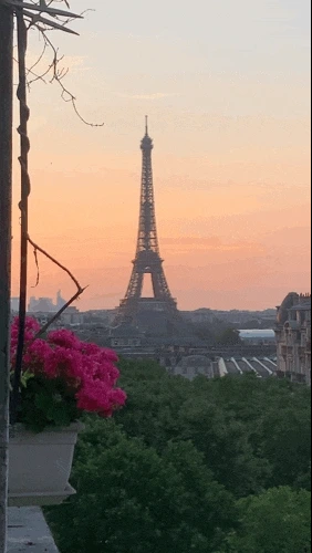 4026072226.gif?type=w773