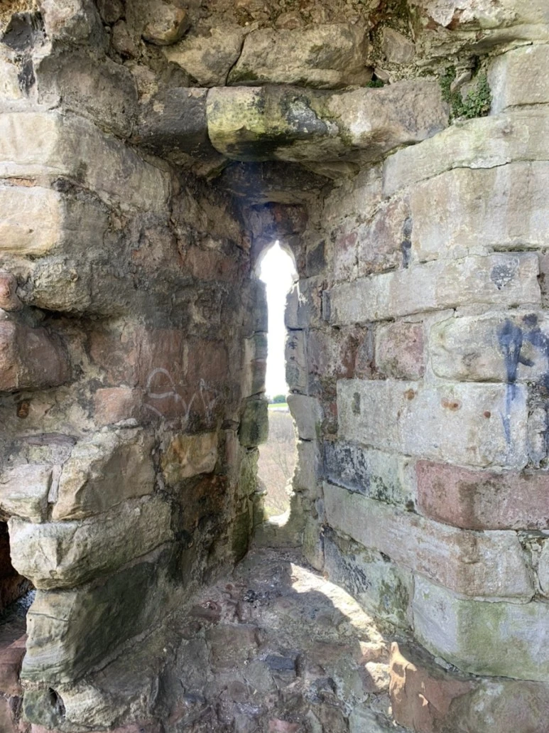 IMG_3919.jpg?type=w773