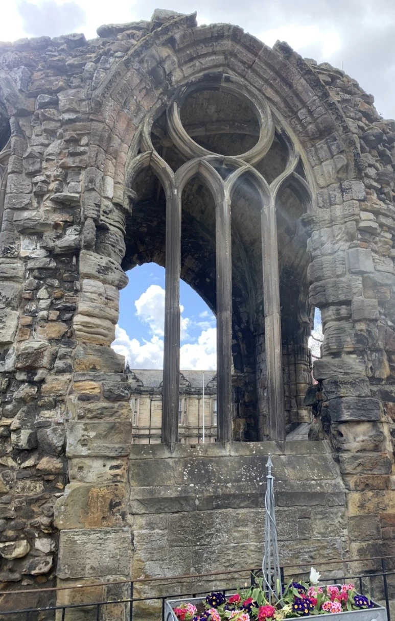 output_815066368.jpg?type=w773