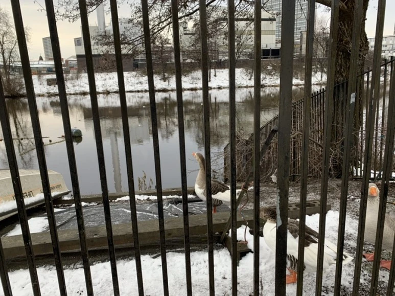 IMG_2407.jpg?type=w773