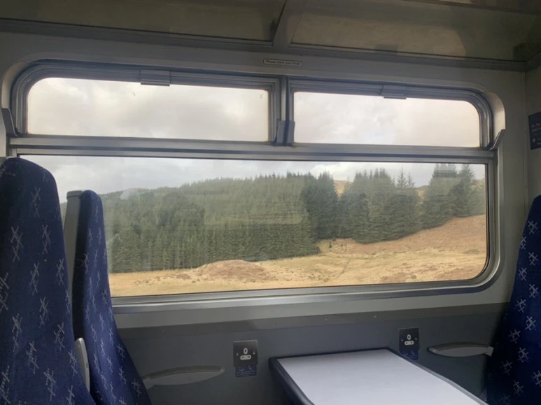 IMG_4827.jpg?type=w773