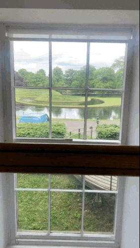 2132436674.gif?type=w773