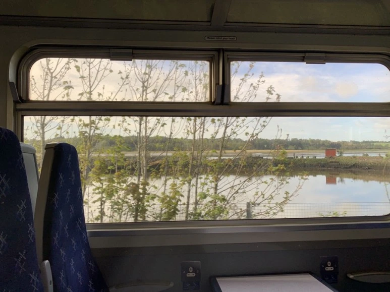 output_126125727.jpg?type=w773