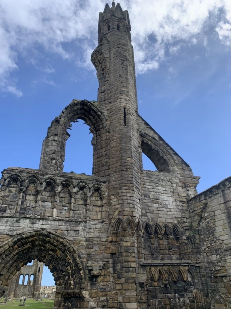 IMG_4569.jpg?type=w773