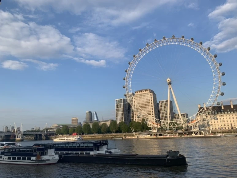 IMG_6248.jpg?type=w773