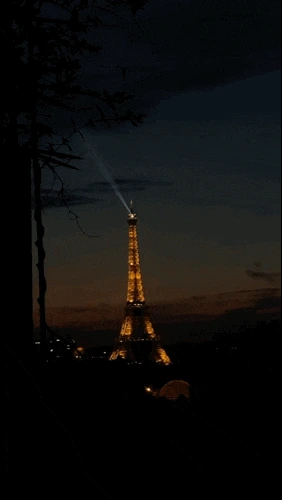 1324938963.gif?type=w773