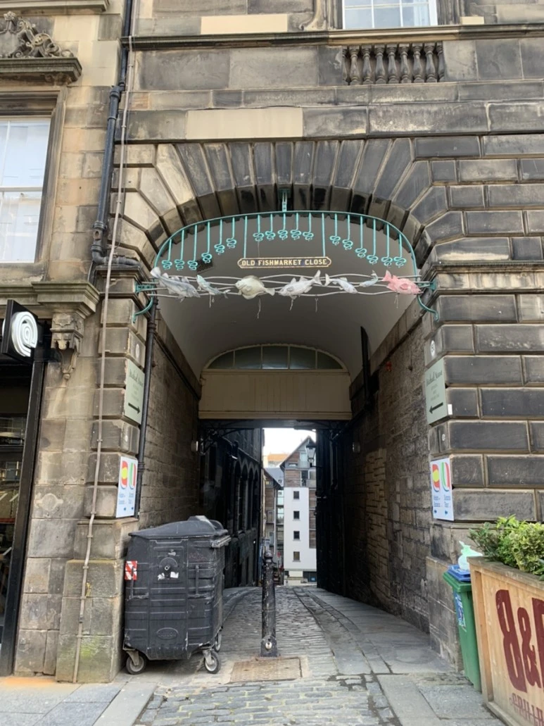 IMG_3312.jpg?type=w773