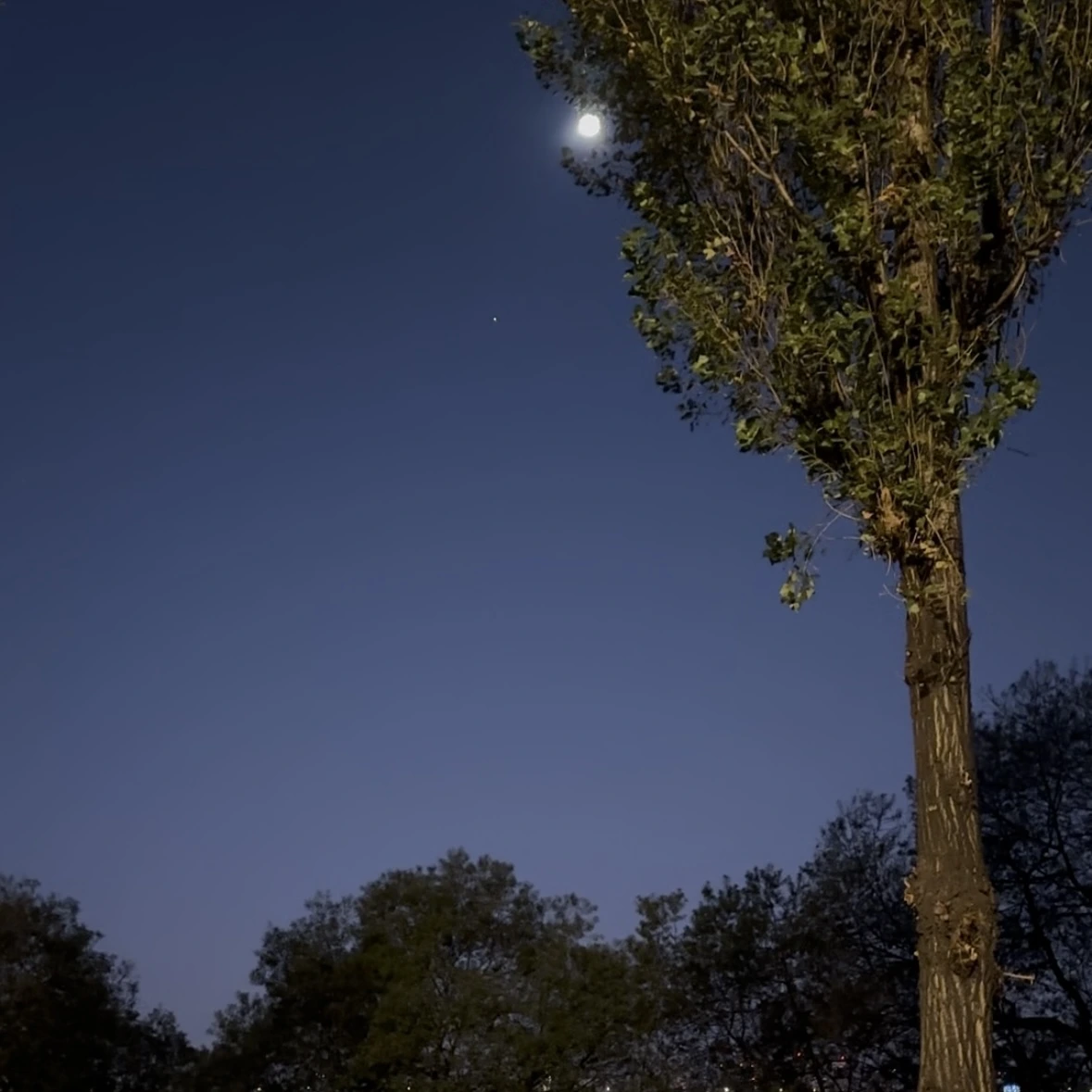 6kqczdsgnmdnfb2c2ilku347f3bx