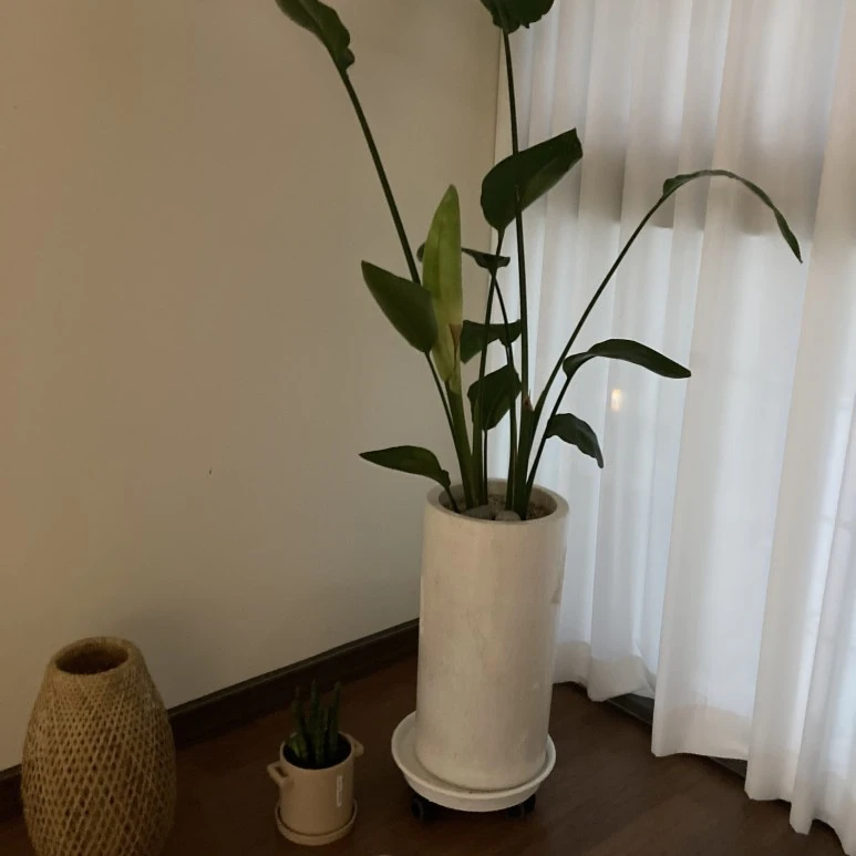 IMG_6895.jpg?type=w773