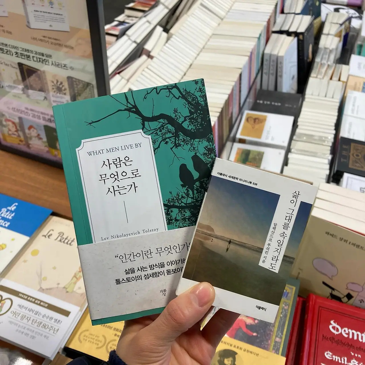 siar7ryug5agojyozci3op61bexb