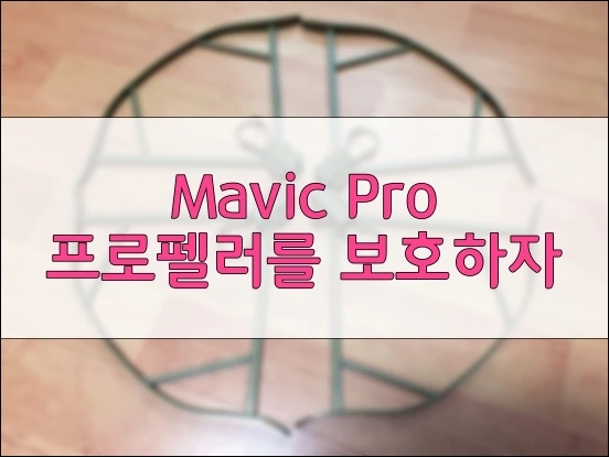 %ED%94%84%EB%A1%AD%EA%B0%80%EB%93%9C_00.JPG?type=w966