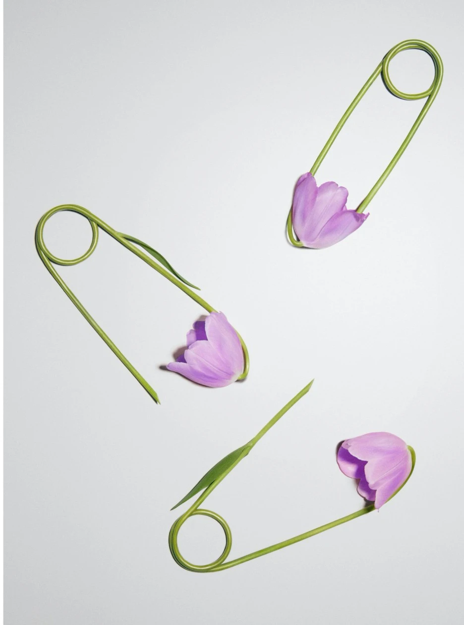 SE-0dc40661-fd62-423b-9299-e2f2d16879be.jpg?type=w1