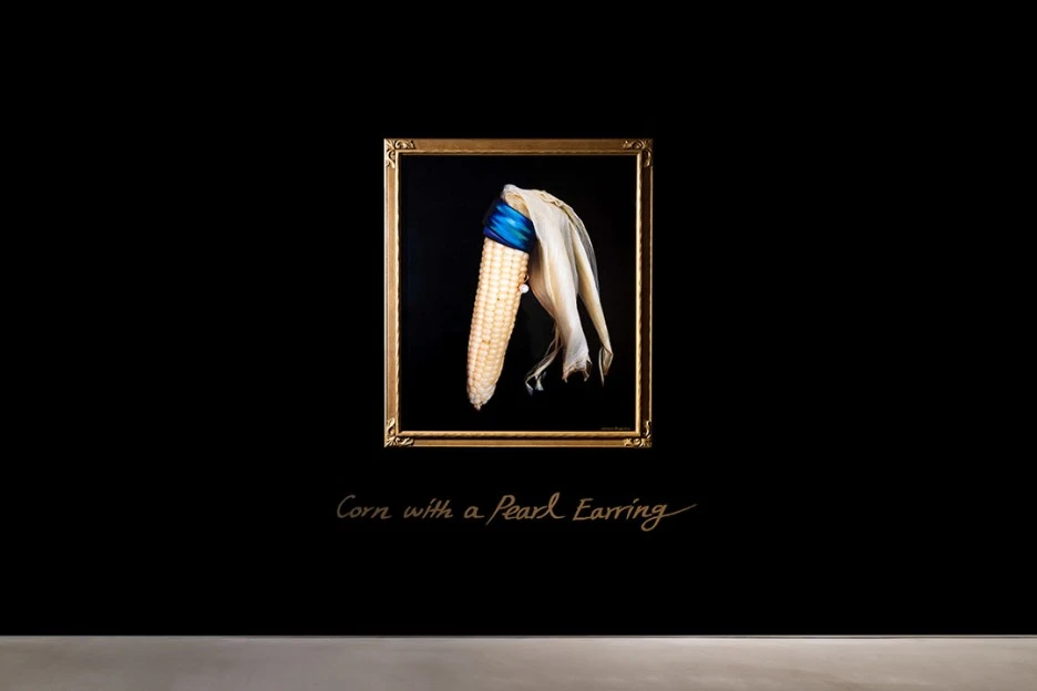 6fd607dd075af67a3dfebbcf4df57cc9_display.jpg?type=w1