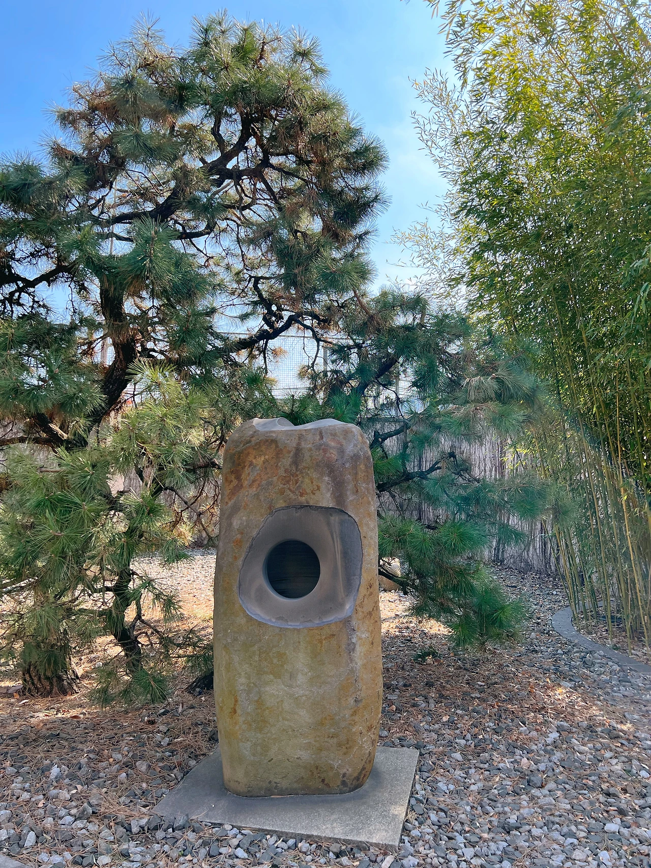 677324901.071104 2.JPG