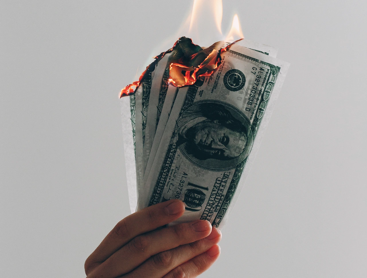 photo-1554672723-60f4d5d5074f?ixlib=rb-1.2.1&amp;ixid=MnwxMjA3fDB8MHxwaG90by1wYWdlfHx8fGVufDB8fHx8&amp;auto=format&amp;fit=crop&amp;w=1000&amp;q=80