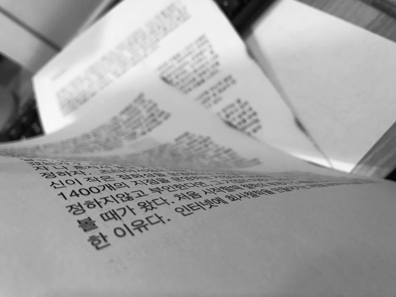 IMG_8344 (편집됨).JPG