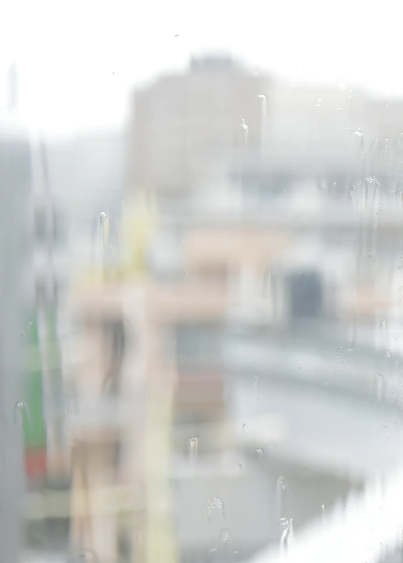 DSC_9723 - 복사본 (2).JPG