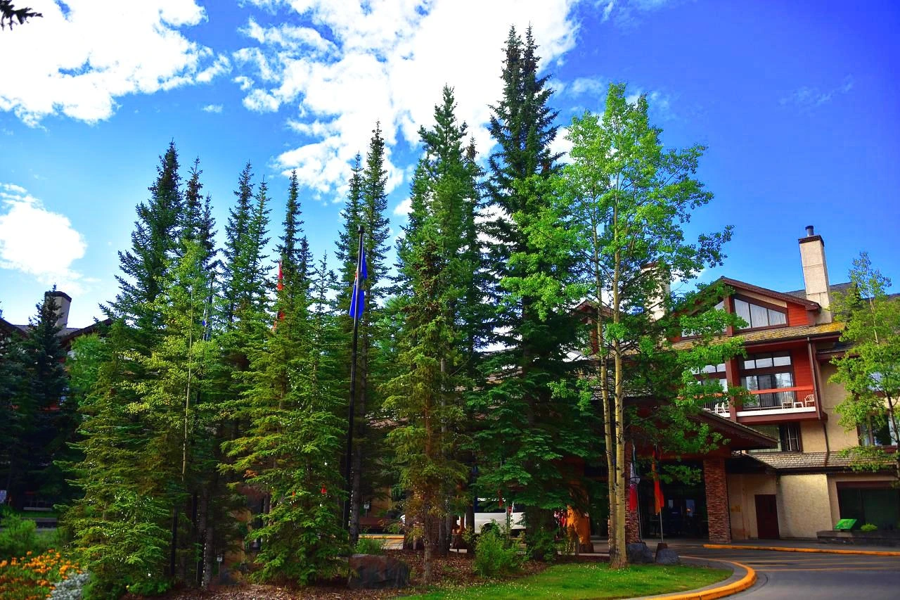 DSC_4258 - 복사본.JPG