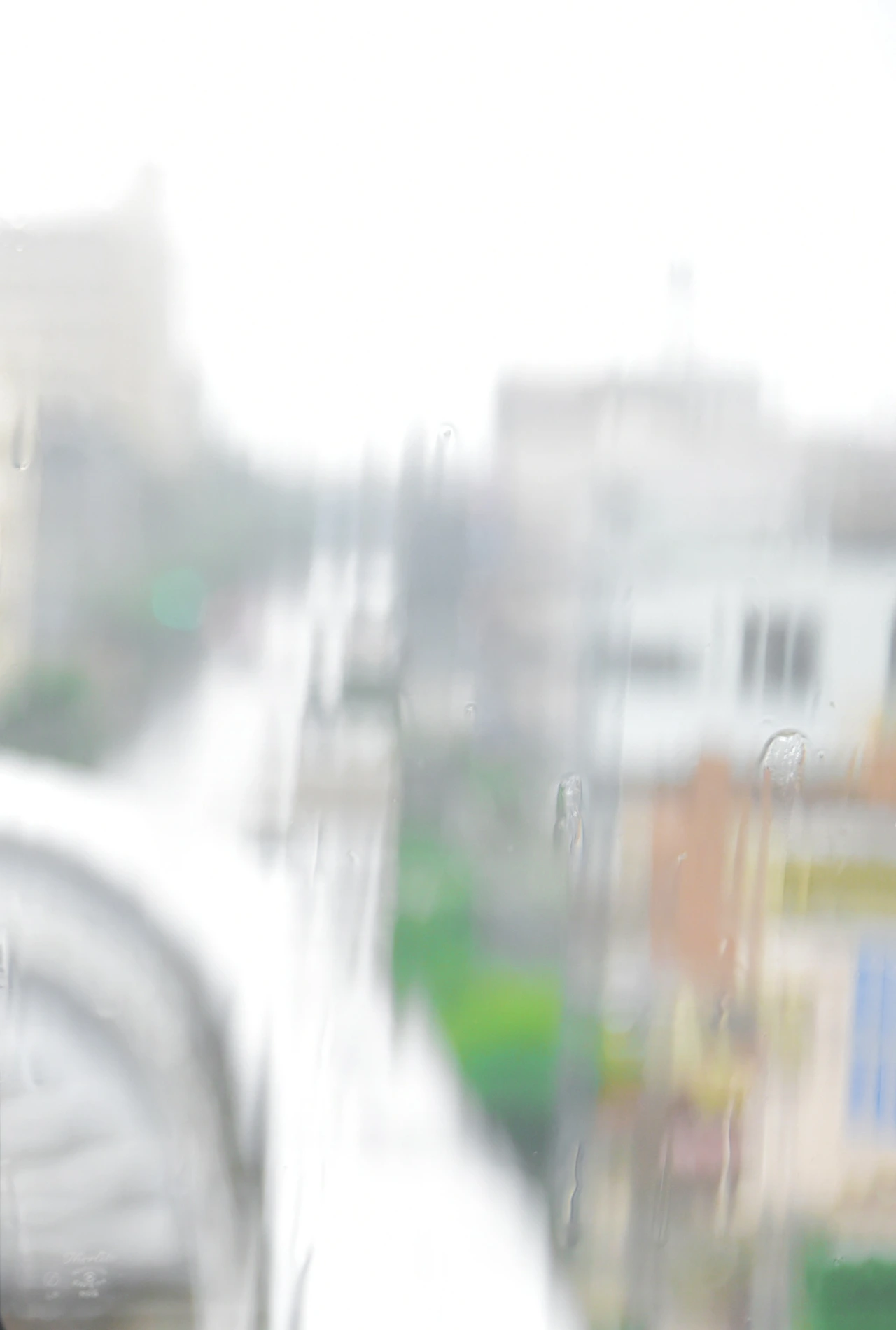 DSC_9723 - 복사본.JPG