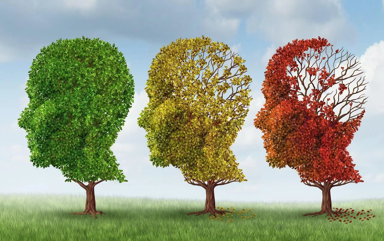 file-20210314-22-n24iqw.jpg?ixlib=rb-1.1.0&amp;q=45&amp;auto=format&amp;w=1200&amp;h=900.0&amp;fit=crop