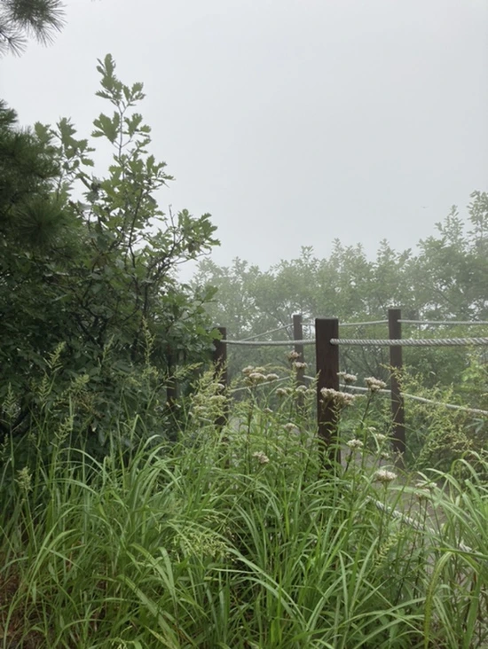 IMG_2952.jpg?type=w1