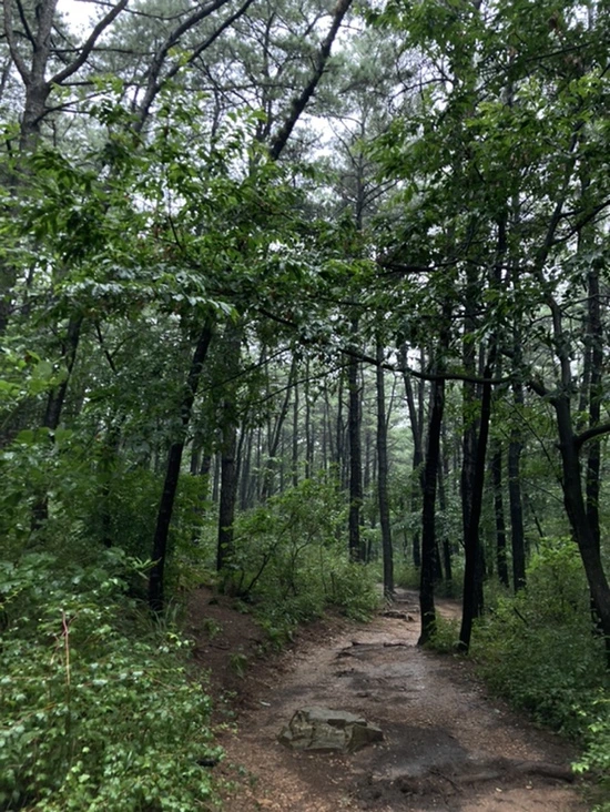 IMG_2962.jpg?type=w1