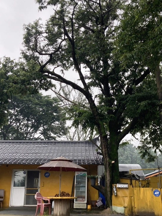 IMG_2948.jpg?type=w1