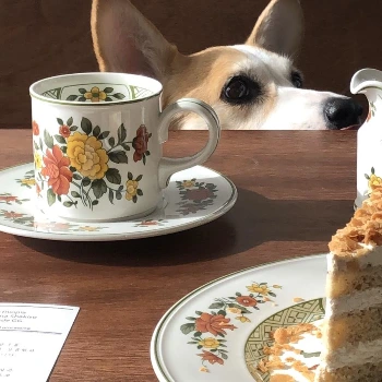 IMG_0640.JPG?type=w1