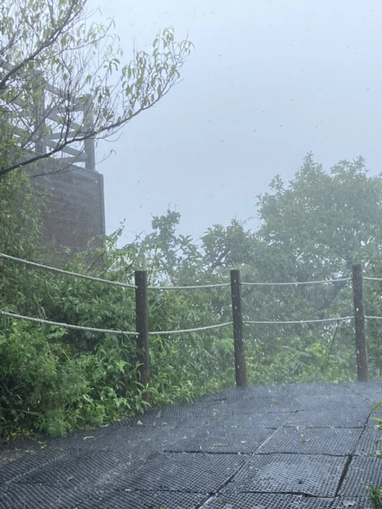 IMG_2956.jpg?type=w1