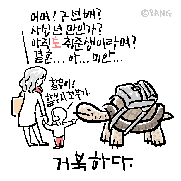애니멀아나뭐_20_161111-거북하다.PNG
