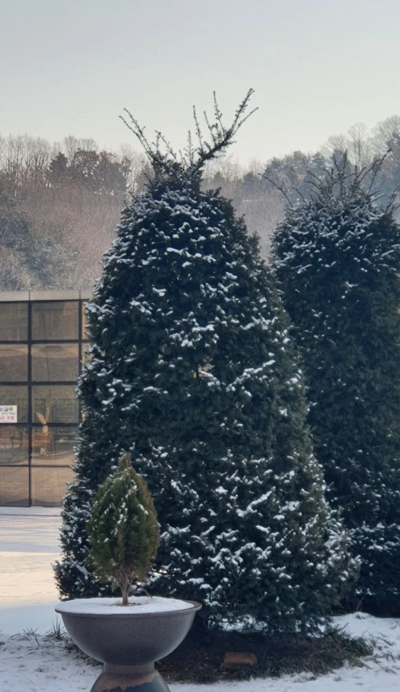 %EB%A3%A8%EB%8F%8C%ED%94%84.jpg?type=w580