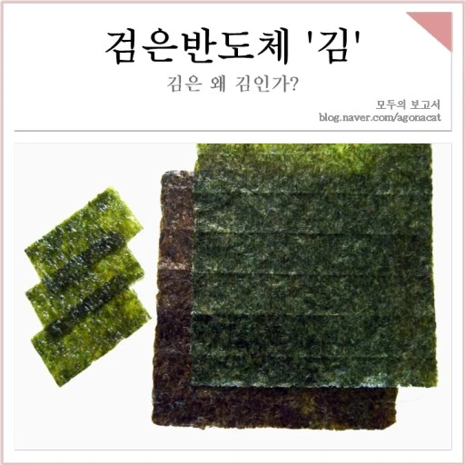 ?src=http%3A%2F%2Fblogfiles.naver.net%2FMjAyMzEwMDZfMTAz%2FMDAxNjk2NTU3NDQwOTE5.g_x3wRbkk9o_8bXzvIb4JJN9ai81TAKz5XZoEZAkHKEg.bONzdJn_ygWJC_2_6vNPKhgyvYKiFtACeH-arPwTI5gg.PNG.agonacat%2F20230930_%25B0%25CB%25C0%25BA%25B9%25DD%25B5%25B5%25C3%25BC_%2527%25B1%25E8%2527.png&type=sc960_832