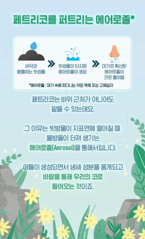 ?src=http%3A%2F%2Fpost.phinf.naver.net%2FMjAyMDA3MjFfMzEg%2FMDAxNTk1MzIyMTgzNjE2.Zt7Kyn6uq8TIex_k5-5wX0_pTit4IbhdQJUne5HmtCYg.u5WjHGvail3Fb1L2hWQPet32fd4FRgKV5O8pvt69ojkg.JPEG%2FIMa3pUzMAEx9Qih0v47gWtlxZeDA.jpg&type=sc960_832