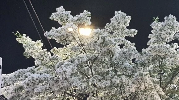 %EC%9D%B4%ED%8C%9D.jpg?type=w580